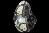 Bargain, Septarian Dragon Egg Geode - Black Crystals #88360-2